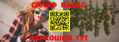прущие грибы Волжск