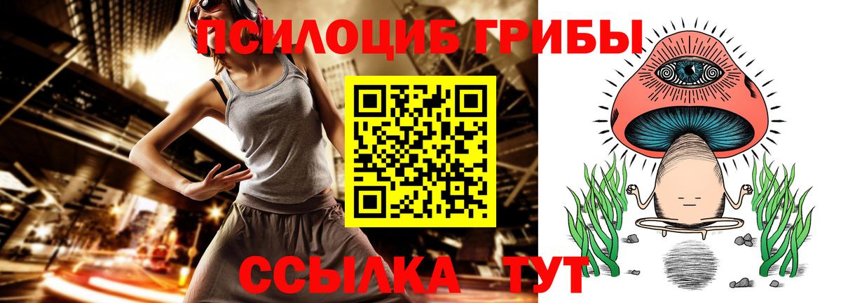 Галлюциногенные грибы MAGIC MUSHROOMS  Вход с VPN  Псилоцибиновые грибы Psilocybe  Мыски 